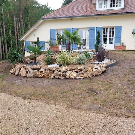 Le Clos Du Renard Sermaise  Esterno foto