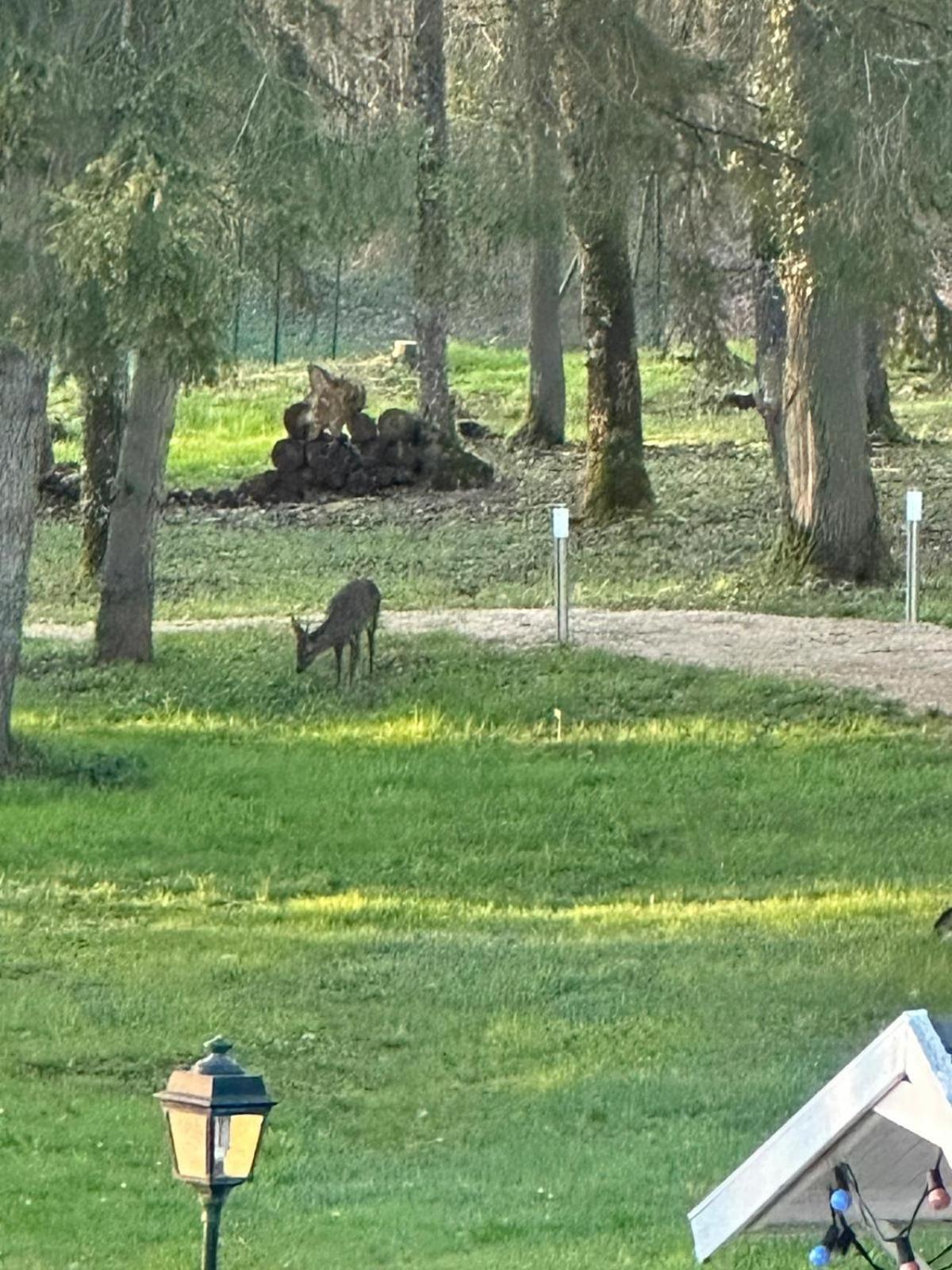 Le Clos Du Renard Sermaise  Esterno foto