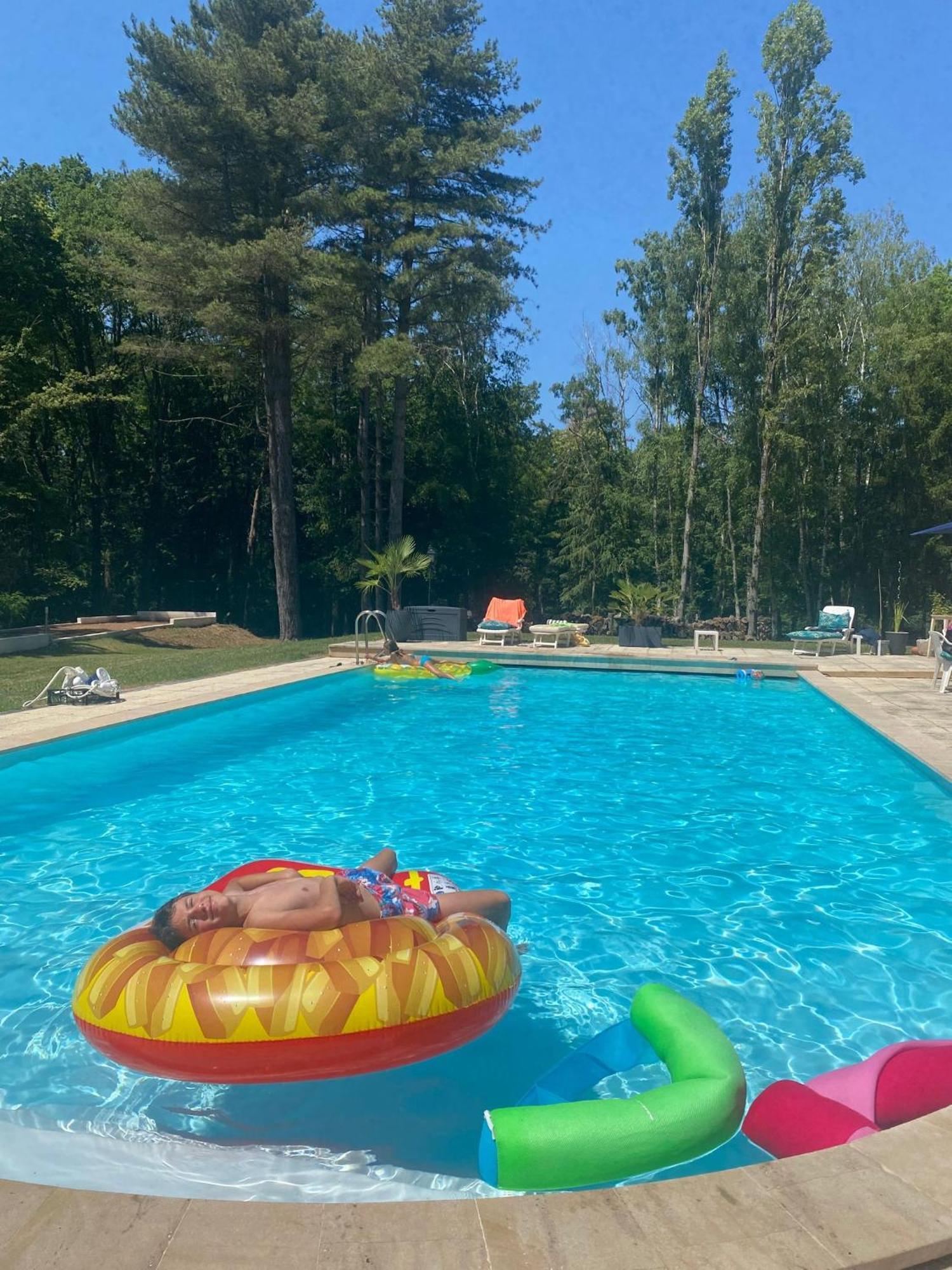 Le Clos Du Renard Sermaise  Esterno foto